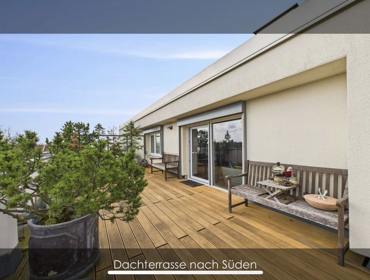 IMG_2541_2.jpeg IMG_2541_2.jpeg